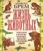 Жизнь животных. Самая важная и интересная информация, дополненная современными данными Жизнь животных. Самая важная и интересная информация, дополненная современными данными / В настоящее издание вошли избранные главы из «Жизни животных» А. Брема, изданной в 1893 и 1903 годах в Санкт-Петербурге. Полностью сохранен неповторимый стиль автора, изменены лишь орфография и названия животных, добавлены комментарии современных специалистов. Иллюстрации выдающихся немецких анимали